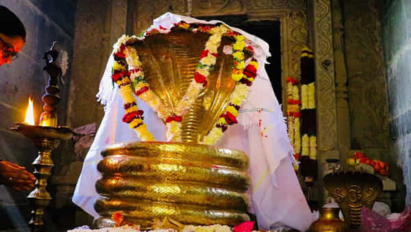 Nagoba Jatara: జాతరకు వేళాయే..దారులన్నీ ఇంద్రవెల్లి వైపే.. మహాపూజతో ఆదివాసీ ఉత్సవం షురూ..