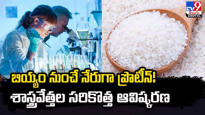 బియ్యంనుంచే నేరుగా మాంసాహారం !! శాస్త్రవేత్తల సరికొత్త ఆవిష్కరణ బియ్యంనుంచే నేరుగా మాంసాహారం !! శాస్త్రవేత్తల సరికొత్త ఆవిష్కరణ