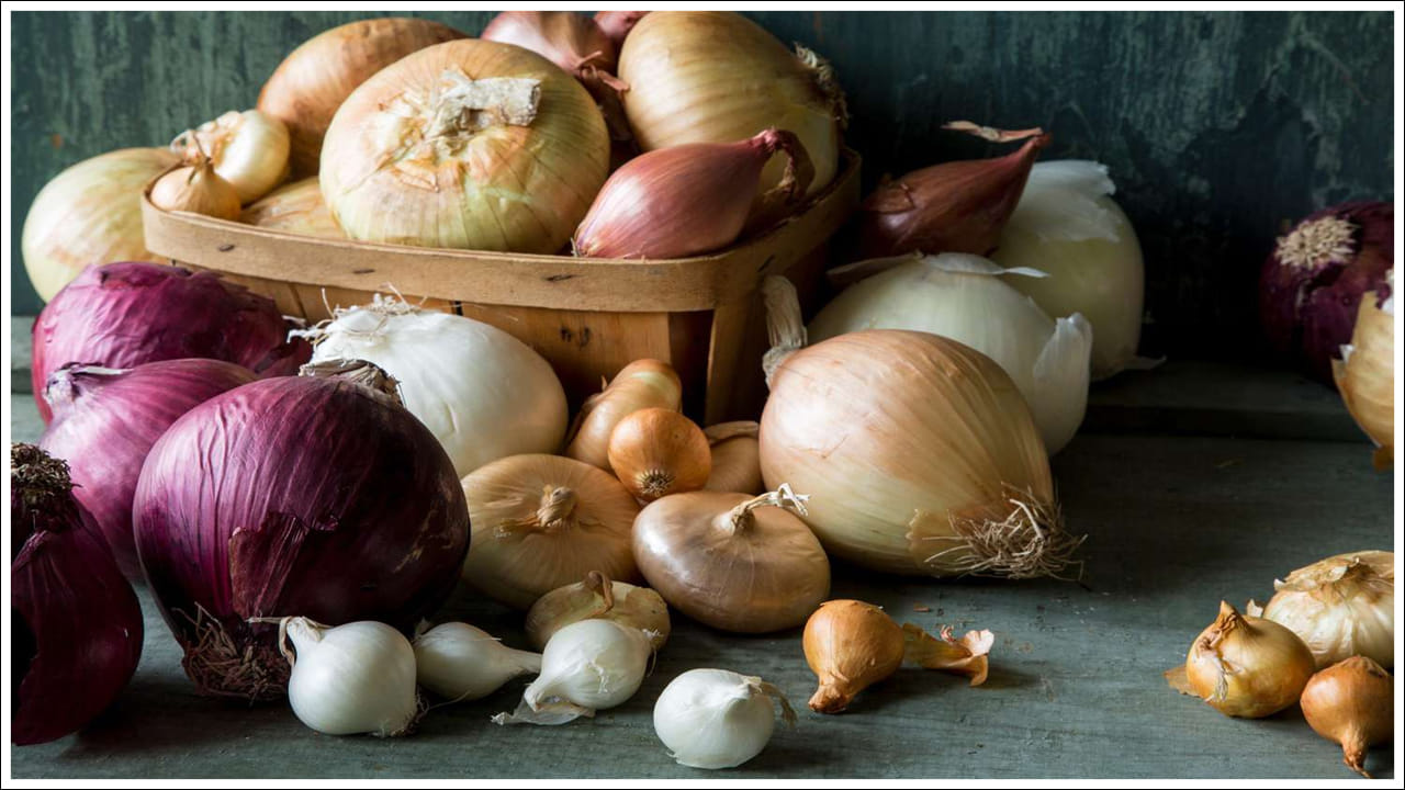 Onion Benefits పచ్చి ఉల్లిపాయలతో ఇన్ని రకాల బెనిఫిట్స్‌ ఉన్నాయా