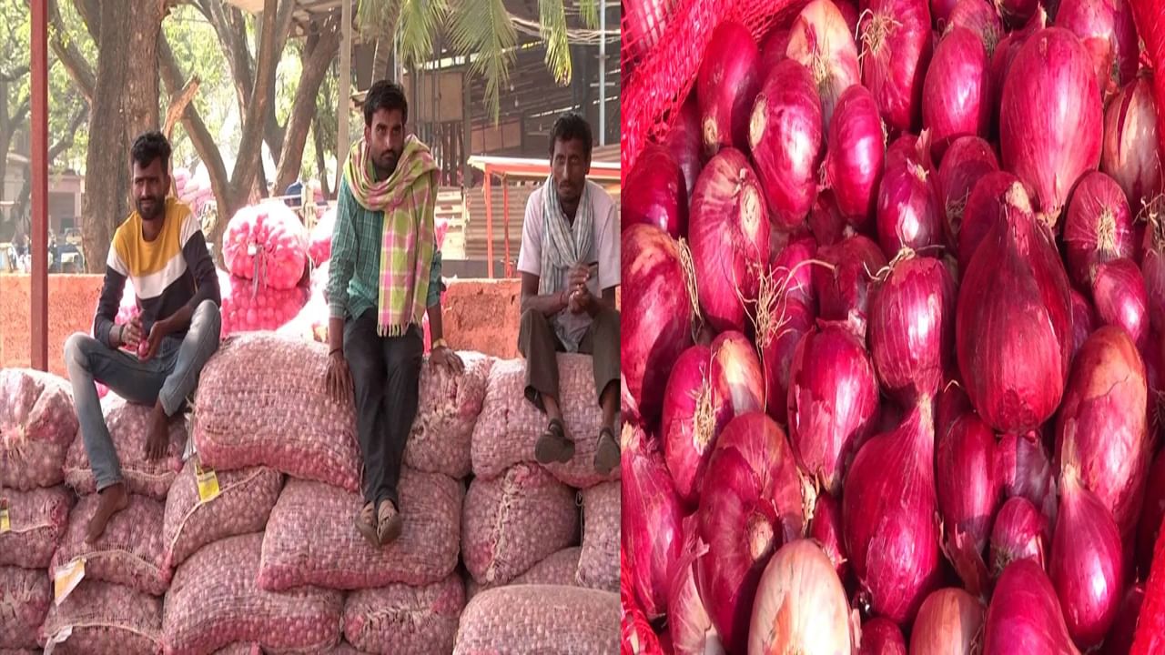 Onion Price: రైతు కంట కన్నీరు.. భారీగా పడిపోయిన ఉల్లి ధర.. కిలో రూ.3 అమ్మకం