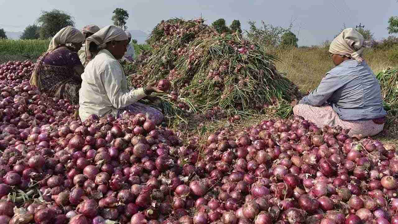 Onion Prices: ఉల్లి రైతు కంట కన్నీరు.. భారీగా ధరలు పతనం.. కేజీ ఎంతంటే.?