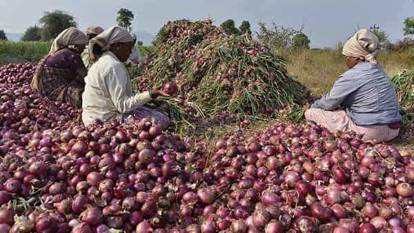 Onion Prices: ఉల్లి రైతు కంట కన్నీరు.. భారీగా ధరలు పతనం.. కేజీ ఎంతంటే.?