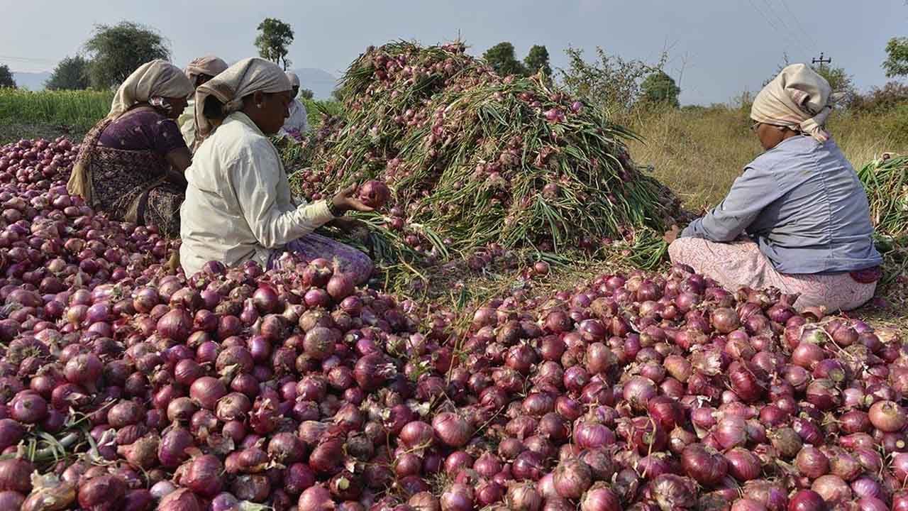 Onion Prices: 'ఉల్లి' రైతు కంట కన్నీరు.. భారీగా ధరలు పతనం.. కేజీ ఎంతంటే.?