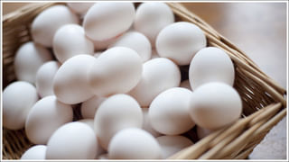 Top 5 Cars: 6 ఎయిర్‌బ్యాగ్‌లతో టాప్ 5 కార్లు.. తక్కువ ధరల్లో అందుబాటులో..