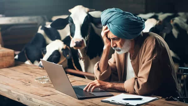 Online Scam: భారీ డిస్కౌంట్తో ఆన్లైన్లో ఆవులు.. తీరాచూస్తే! ఎంతమోసం..