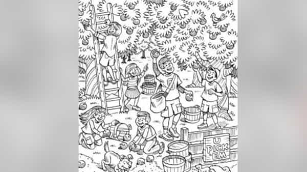 Optical illusion: ఈ ఫొటోలో చేప దాగి ఉంది, కనిపించిందా.? గుర్తిస్తే మీ ఐ పవర్ కేక అంతే..
