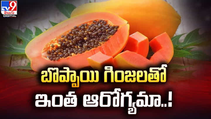 బొప్పాయి గింజలతో ఎన్ని ప్రయోజనాలో తెలుసా ?? బొప్పాయి గింజలతో ఎన్ని ప్రయోజనాలో తెలుసా ??