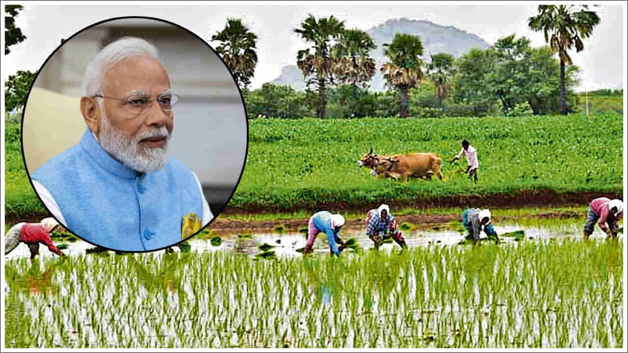 PM Kisan: రైతులకు గుడ్‌న్యూస్‌.. పీఎం కిసాన్‌ 16వ విడత ఎప్పుడో తెలుసా..?