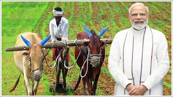 PM Kisan: రైతులకు పీఎం కిసాన్ 17వ విడత డబ్బులు ఎప్పుడు వస్తాయో తెలుసా?