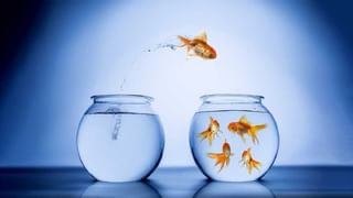 Credit Card Closure: క్రెడిట్ కార్డు మూసేస్తున్నారా?  ఆ విషయంలో జాగ్రత్తగా లేకపోతే ఇక అంతే సంగతులు..!