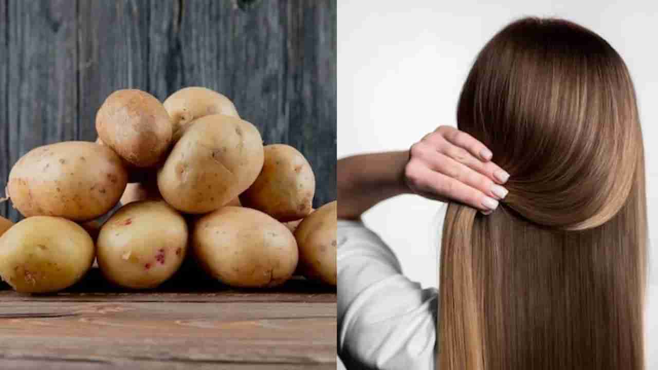 Potato For Hair : చుండ్రు సమస్యకు శాశ్వత పరిష్కారం.. బంగాళాదుంపతో ఇలా చేస్తే.. మీ జుట్టు పెరుగుతుంది!