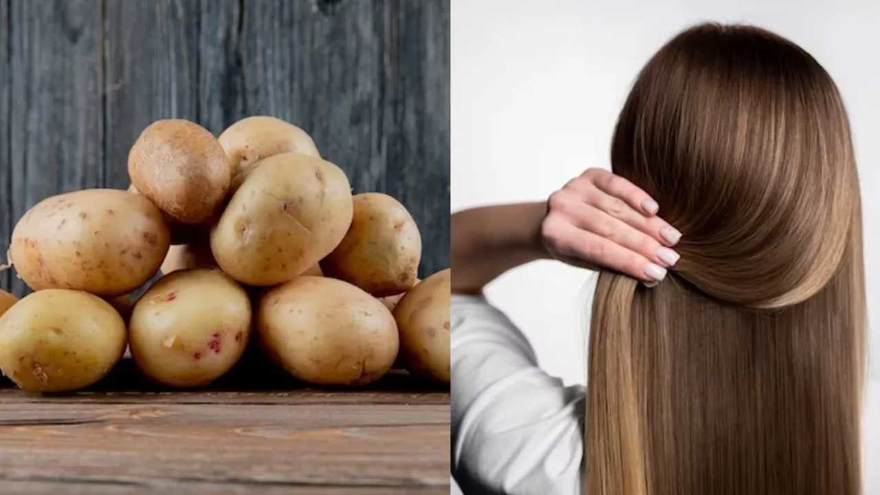 Potato For Hair : చుండ్రు సమస్యకు శాశ్వత పరిష్కారం.. బంగాళాదుంపతో ఇలా చేస్తే.. మీ జుట్టు పెరుగుతుంది!