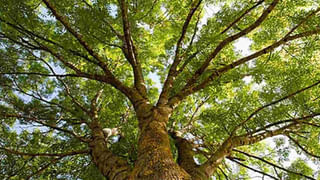 Farmers Protest: ఈనెల 26న ట్రాక్టర్లతో జాతీయ రహదారుల దిగ్బంధం..రైతు సంఘాల పిలుపు