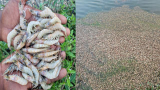 Vijaysai Reddy: తెలంగాణలో కాంగ్రెస్ సర్కార్ కూలడం ఖాయం.. వైసీపీ ఎంపీ విజయసాయిరెడ్డి సంచలన వ్యాఖ్యలు