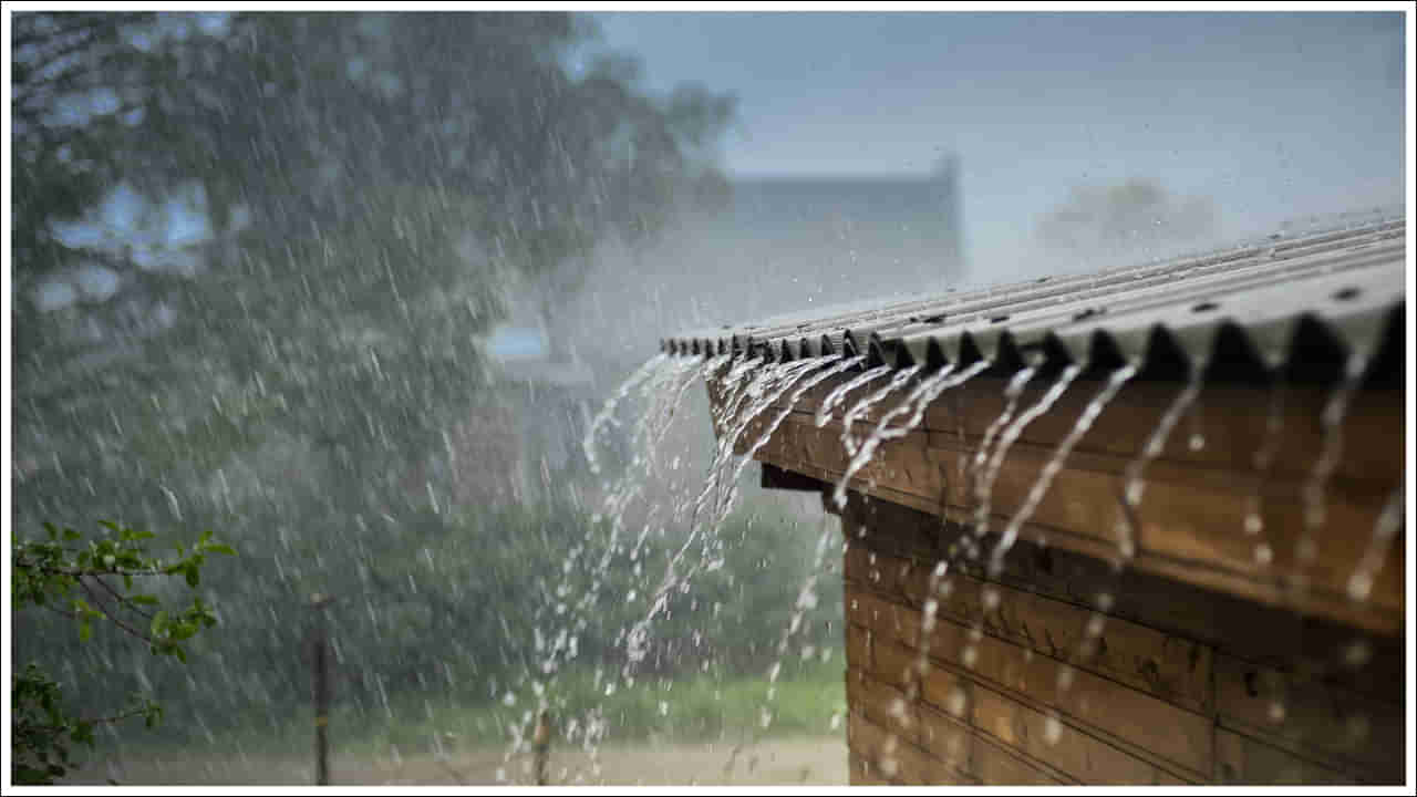 Rain Alert: చల్లబడ్డ వాతావరణం.. తెలుగు రాష్ట్రాల్లో వర్షాలు: వాతావరణ శాఖ