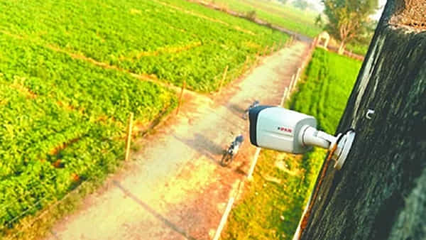 Viral News: పొలంలో సీసీ కెమెరాల ఏర్పాటు.. ఎందుకో తెలుసా.?