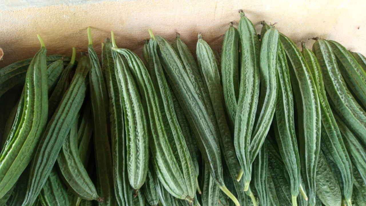 Ridge Gourd Benefits: బీరకాయతో ఇన్ని ప్రయోజనాలు ఉన్నాయని మీకు కూడా తెలీదు..