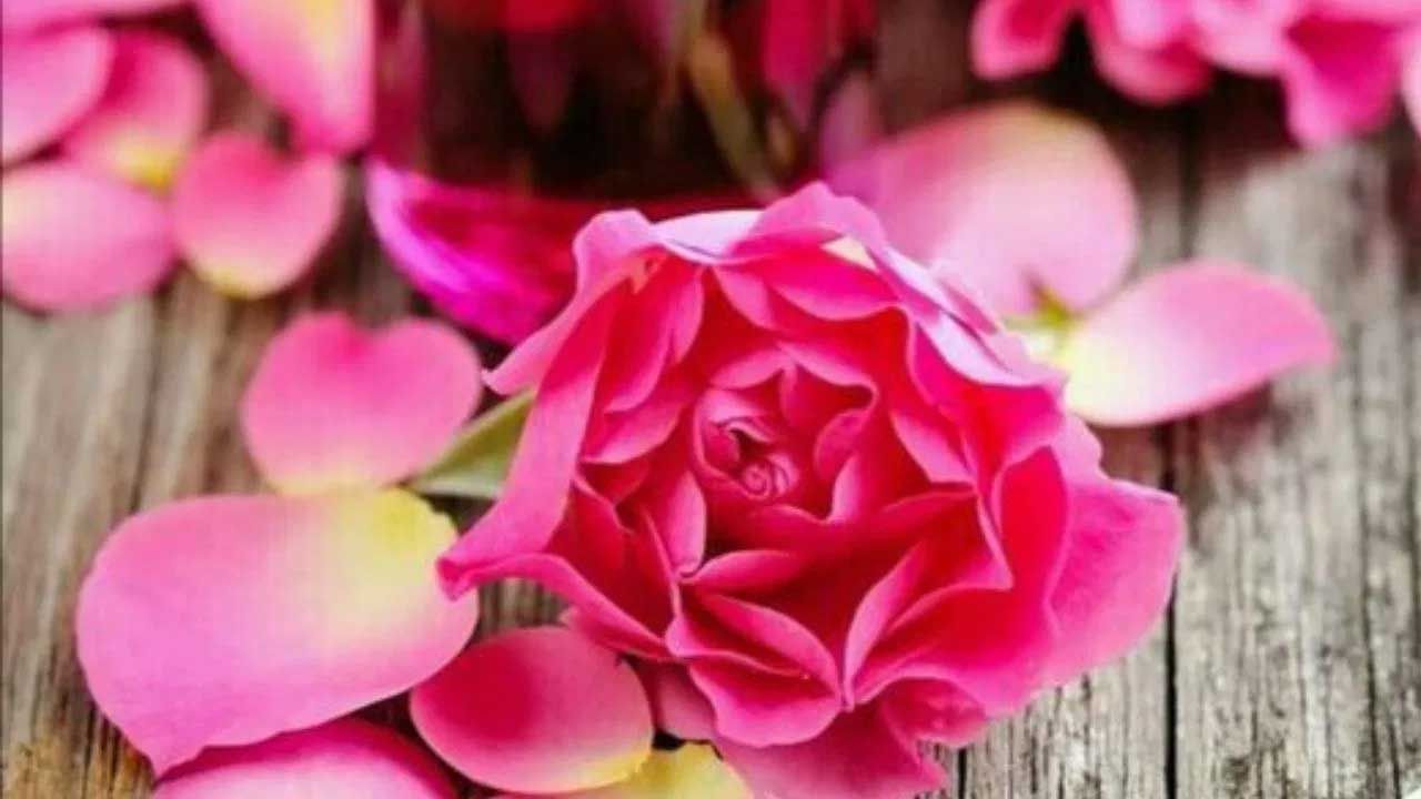 గులాబీ అందంగా కనిపించడమే కాదు.. ఈ పువ్వు అందాన్ని కాపాడటంలోనూ కీలకపాత్ర పోషిస్తుంది. చర్మానికి మేలు చేసే గులాబీ పువ్వులు చర్మాన్ని లోపల నుంచి ఆరోగ్యంగా ఉంచుతుంది. అనేక చర్మ సమస్యలను కూడా పరిష్కరిస్తుంది. గులాబీ చర్మాన్ని మృదువుగా చేస్తుంది. కానీ దీనిని సరైన విధానంలో ఉపయోగిస్తే శీఘ్ర ఫలితాలను పొందవచ్చు. గులాబీ ఫేస్ ప్యాక్‌లు ఎలా తయారు చేయాలో ఇక్కడ తెలుసుకుందాం..