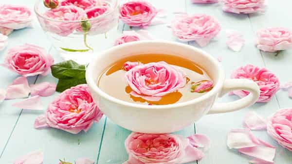 Rose Tea: ఇట్స్ టీ టైమ్.. ఇలాంటి చాయ్ని అలవాటుగా చేసుకోండి.. ఆరోగ్యంతో పాటు అందం మీ సొంతం..!