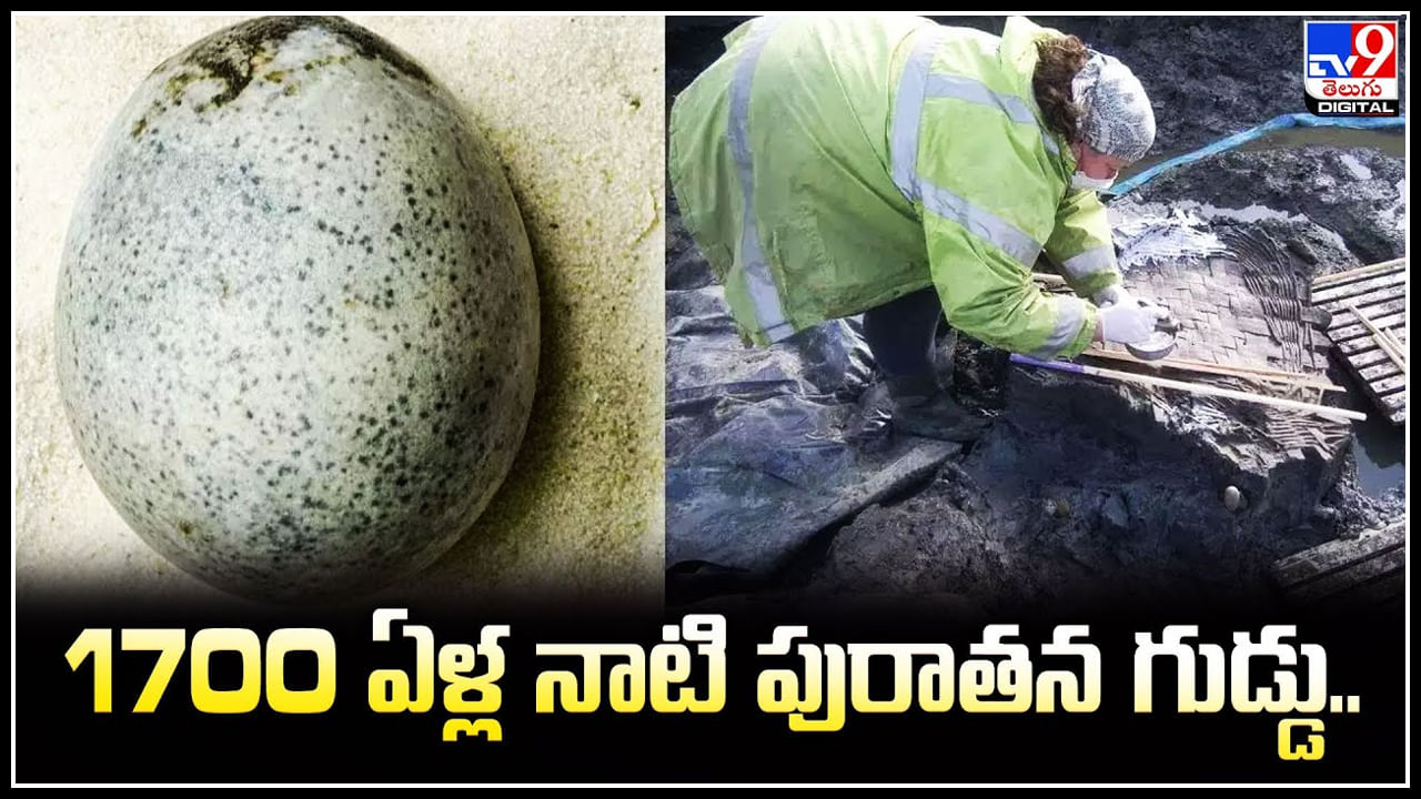 1700 Years Old Egg: 1700 ఏళ్ల నాటి పురాతన గుడ్డు.! అప్పటి నుండి గుడ్డు లోపల పచ్చసొన అలాగే.!