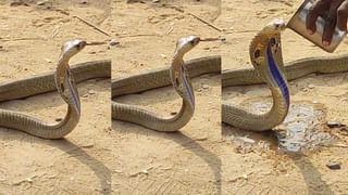 AP News: ప్చ్.! ఏపీలో ఒంటరి పోరేనా..? పవన్‌తో దోస్తీకి కమలం కటీఫ్.!