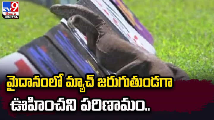 మైదానంలో మ్యాచ్ జరుగుతుండగా ఊహించని పరిణామం.. మైదానంలో మ్యాచ్ జరుగుతుండగా ఊహించని పరిణామం..