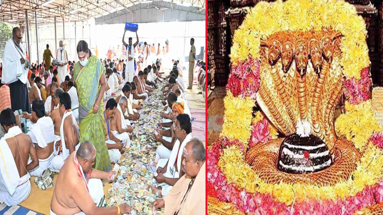 Mallanna Temple: రోజు రోజుకీ పెరుగుతున్న మల్లన్న హుండీ ఆదాయం.. ఈసారి నగదుతో పాటు భారీగా బంగారు, వెండి, విదేశీ కరెన్సీ