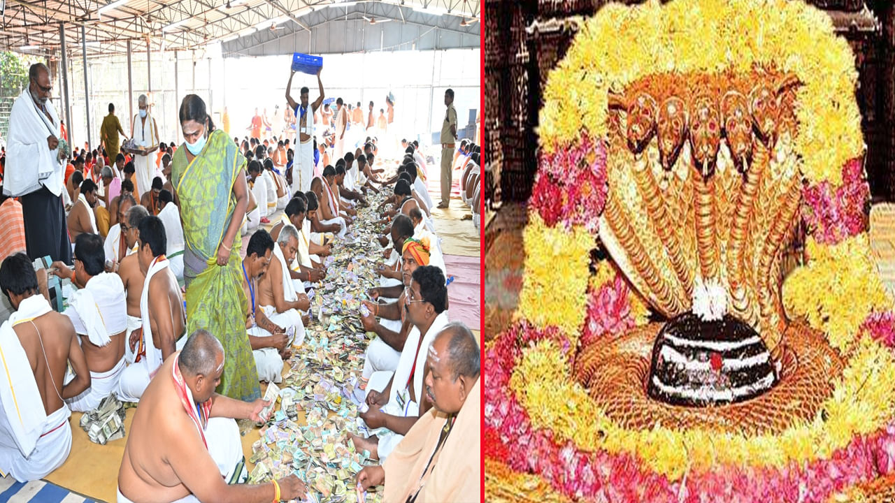 Mallanna Temple: రోజు రోజుకీ పెరుగుతున్న మల్లన్న హుండీ ఆదాయం.. ఈసారి నగదుతో పాటు భారీగా బంగారు, వెండి, విదేశీ కరెన్సీ