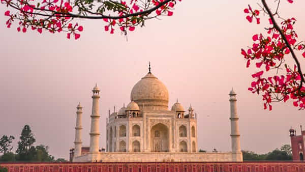 Taj Mahotsav: ఈ నెల 27 వరకూ జరగనున్న తాజ్ మహోత్సవ్.. ఈ ఏడాది ఎన్నో ప్రత్యేకతలు.. భారీగా పర్యాటకులు