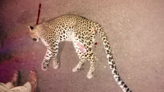 నిద్రమాత్రలు మింగిన కుటుంబ సభ్యులు.. చివరి నిమిషంలో ఏం చేశారంటే..