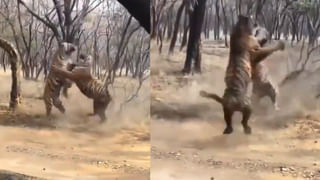 ఏడేళ్ల క్రితం భర్త మిస్సింగ్.. చివరకు బిగ్ బాస్ షో అలా చూసేసరికి మైండ్ బ్లాంక్