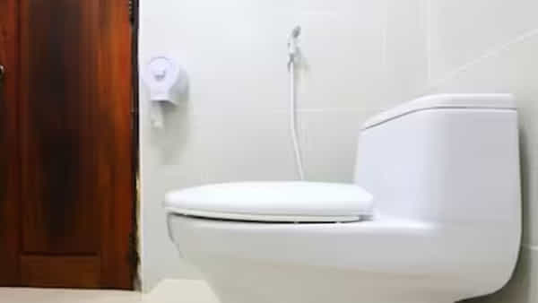 Toilet: టాయ్లెట్ వాడేటప్పుడు ఆ తప్పు అస్సలు చేయకండి.. అలా చేస్తే వ్యాధులకు వెల్కమ్ చెప్పినట్లే..!