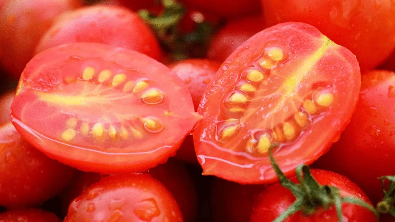 టొమాటోను దాదాపు అన్ని భారతీయ వంటకాల్లో ఉపయోగిస్తారు. ఈ టొమాటోలో అనేక పోషకాలు ఉన్నాయి. ఆహారంలో వీటిని తినడం వల్ల శరీరాన్ని ఆరోగ్యంగా ఉంచుతుంది. టమోటాల వల్ల కలిగే ఆరోగ్య ప్రయోజనాలేంటో ఇక్కడ తెలుసుకుందాం. 110 mg టమోటాలో కాల్షియం ఉంటుంది. టొమాటోలో విటమిన్ కె కూడా పుష్కలంగా ఉంటుంది.