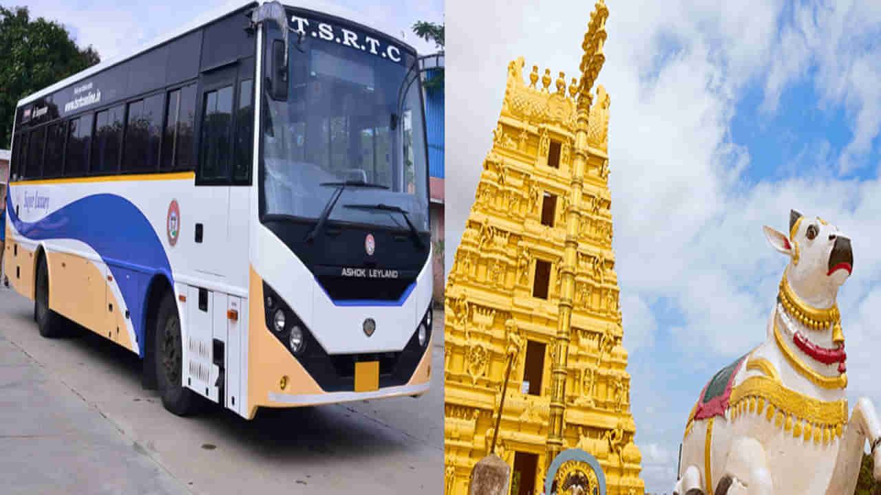 TSRTC: శ్రీశైలం వెళ్లేవారికి ఆర్టీసీ గుడ్‌ న్యూస్‌.. బస్సు టికెట్‌తో పాటే..