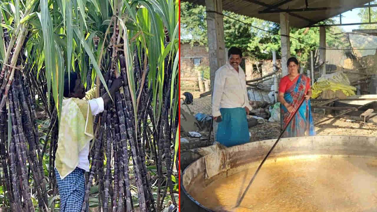 Unique Farming: తక్కువ పెట్టుబడితో ఎక్కువ లాభం..! లక్షలు ఆర్జిస్తున్న ఆదర్శ రైతు.. ఎక్కడంటే..?