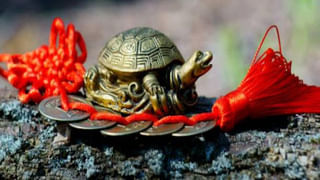 Andhra Pradesh: తిరుమల తొలి గడప దేవుని కడప లో బ్రహ్మోత్సవాలు ప్రారంభం..