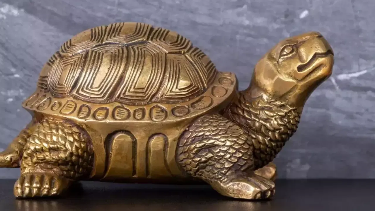 Vastu Tips: ఇంట్లో అదృష్టం కలిసి రావాలంటే తాబేలు చిత్రాన్ని ఎలా ఉపయోగించాలి?