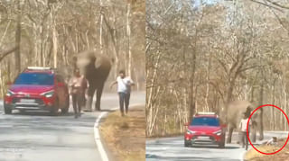 Viral News: వృధ్యాప్యంలో తోడుకోసం తాత ఆరాటం.. ఒంటరిగా ఉన్నా వధువు కావాలంటున్న 83 వృద్ధుడు