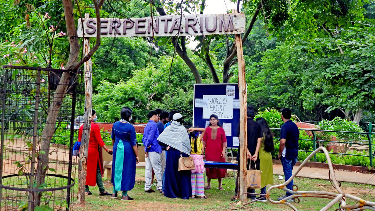 అధునాతన సాంకేతికత గల ఈ బ్యాటరీ సైకిళ్లు సందర్శకులకు జూలోని వివిధ జంతువులను ఓపికగా చూడడానికి అవకాశాన్ని కల్పిస్తాయి. జూ చాలా విశాలంగా ఉండడంతో పాటు అన్ని జంతువులను చూడడానికి నడుచుకుంటూ తిరగాలంటే ఒక్కోసారి శక్తి ఉండక పోవచ్చు. అలా అని కార్‎లో తిరగాలి అంటే అదనంగా డబ్బులు కట్టాలి. 