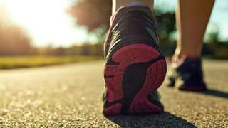 Health Care: ఇంట్లో ఎలుకలు తిరుగుతున్నాయా వెంటనే వెళ్లగొట్టండి.. చాలా ప్రమాదం!