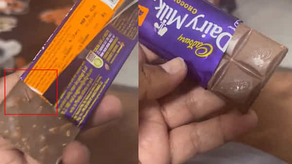 Viral News: డైయిర్ మిల్క్ చాక్లెట్లో పురుగు.. స్పందించిన క్యాడ్బెరీ యాజమాన్యం