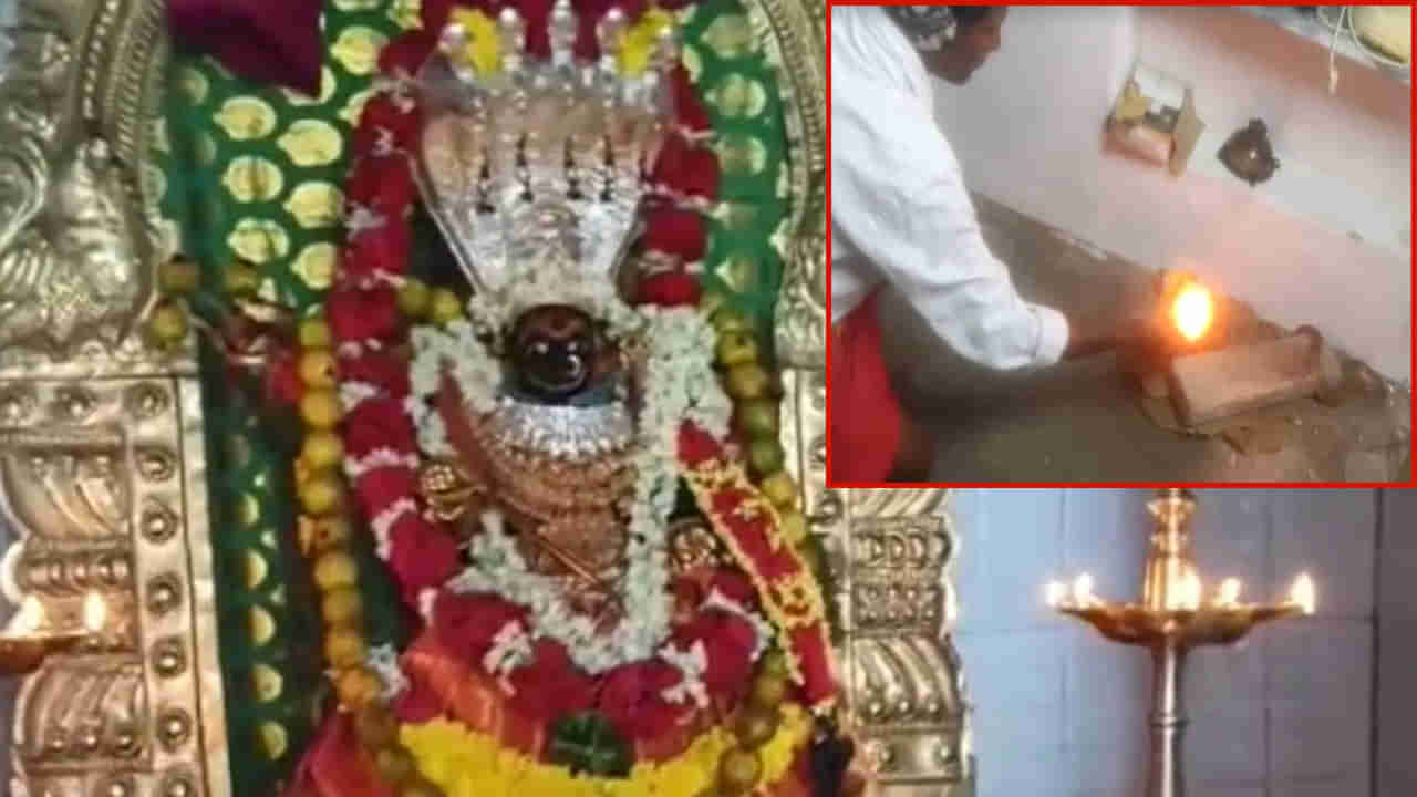 Snake Worship: బుసలు కొట్టే నాగుపాముకు హారతులు.. ప్రత్యేక పూజలు.. ఎక్కడో తెలుసా..?