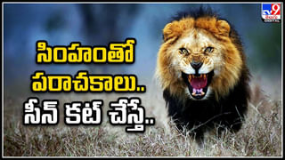 YS Jagan: కీల‌క స్థానాల్లో అభ్యర్ధుల ఎంపిక‌పై సీఎం జ‌గ‌న్ ఆచితూచి అడుగులు.. ఎంపీ అభ్యర్థులు వీళ్లేనా..?