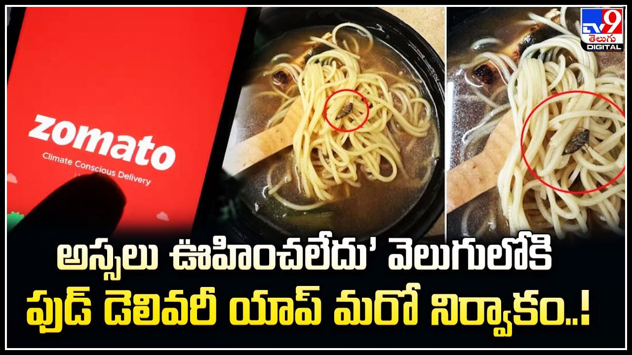 Cockroach in Noodles: నూడిల్స్‌ సూప్‌లో చచ్చిన బొద్దింకను చూసి షాక్‌ అయిన మహిళ.