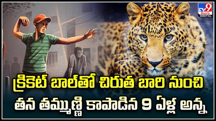 Kashmir: క్రికెట్ బాల్తో చిరుత బారి నుంచి తన తమ్ముణ్ణి కాపాడిన 9 ఏళ్ల అన్న. Kashmir: క్రికెట్ బాల్తో చిరుత బారి నుంచి తన తమ్ముణ్ణి కాపాడిన 9 ఏళ్ల అన్న.