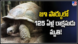 బెట్టుకట్టి.. జుట్టు పోగొట్టుకున్నాడు !!