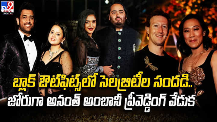 బ్లాక్ ఔట్ఫిట్స్లో సెలబ్రిటీల సందడి.. జోరుగా అనంత్ అంబానీ ప్రీవెడ్డింగ్ వేడుక బ్లాక్ ఔట్ఫిట్స్లో సెలబ్రిటీల సందడి.. జోరుగా అనంత్ అంబానీ ప్రీవెడ్డింగ్ వేడుక
