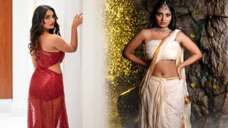 Animal: ఏం సినిమారా బాబు..! ఇంకా రికార్డులు క్రియేట్ చేస్తూనే ఉంది.. ఇప్పుడు ఇలా