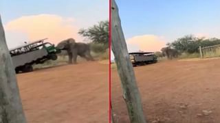 Viral: అభిమానులకు షాకిచ్చిన అంజలి, సూఫీ జంట.. వారం రోజుల్లోనే పెళ్లి.. అంతలోనే ఇలా..