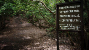 Aokigahara Sucide Forest